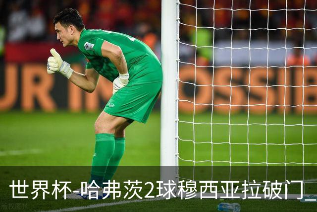 世界杯-哈弗茨2球穆西亚拉破门 德国全面开花7-1库拉索
